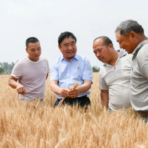 技能大賽！全國第一！來自阜陽！
