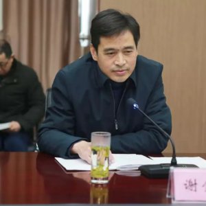 謝金明出任金種子集團黨委書記，提名集團董事長