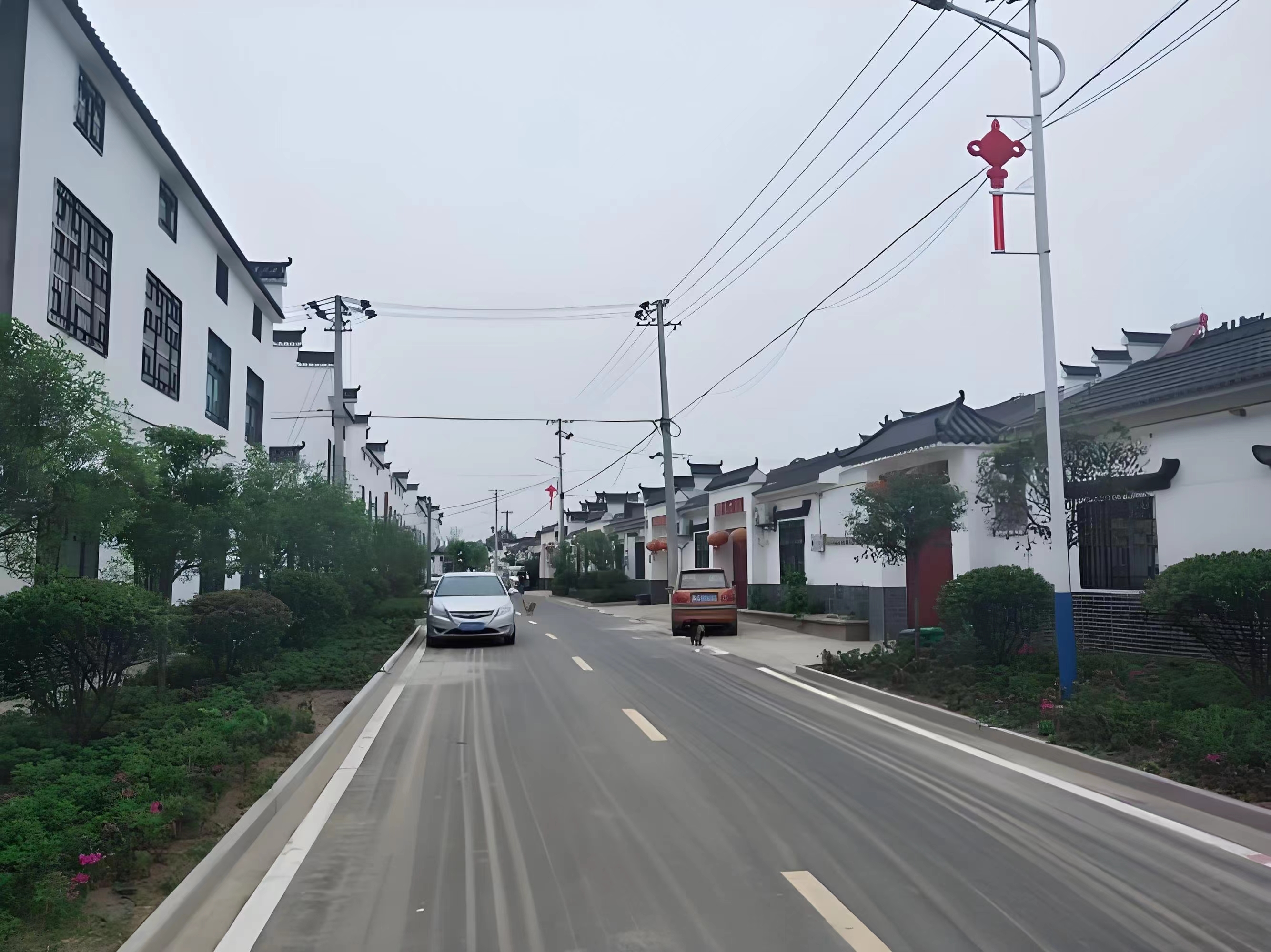 傳承紅色基因，續(xù)寫潁上黃壩發(fā)展新篇章