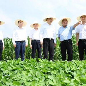 梁言順在阜陽市調(diào)研時(shí)強(qiáng)調(diào) 堅(jiān)持多種糧種好糧全力保障國家糧食安全 加快皖北地區(qū)全面振興步伐 ...