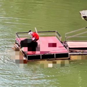 馬上評｜蹦極不是玩命，景區(qū)安全之繩絲毫松不得